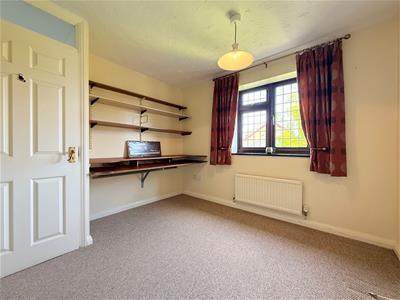 Picture 15